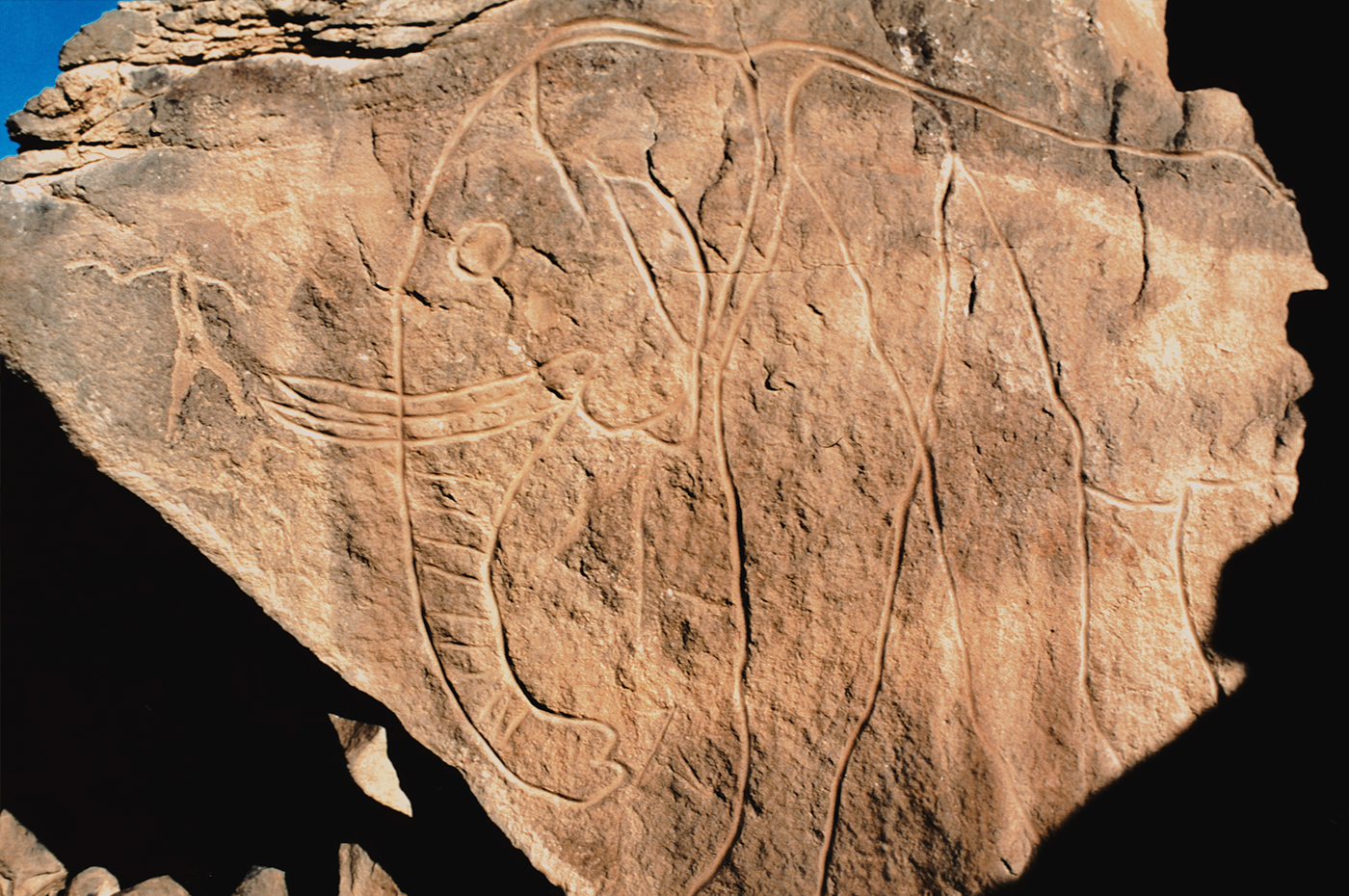 Bradshaw Foundation Libya Rock Art Paintings Africa African