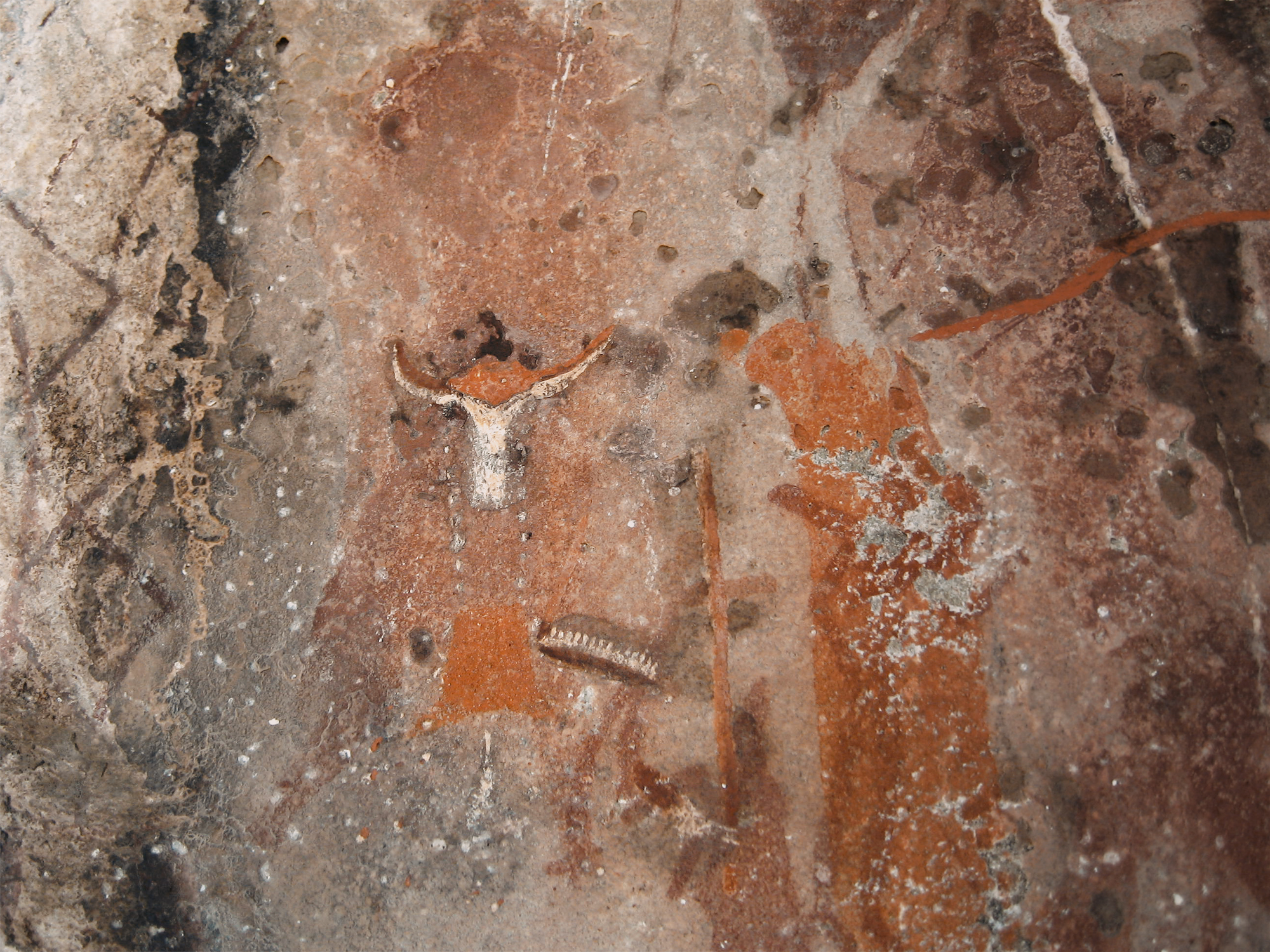 Bradshaw Foundation San Bushmen Rock Art Paintings Africa African Shamans Shaman religious spirit world journeys