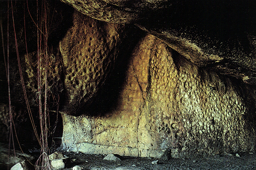 Engravings Rock Art Petroglyphs Petroglyphs Australia