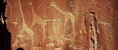 Engravings Rock Art Petroglyphs Petroglyph Twyfelfontein Namibia Africa Bradshaw Foundation