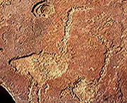 Engravings Rock Art Petroglyphs Petroglyph Twyfelfontein Namibia Africa Bradshaw Foundation