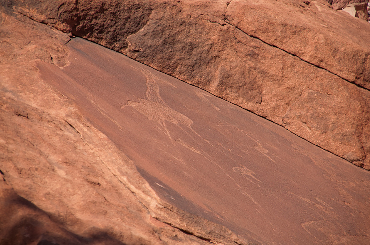 Bradshaw Foundation Rock Art Engraving Engravings Namibia Twyfelfontein /Ui- //aes UNESCO World Heritage Site Africa Rock Art Network RAN