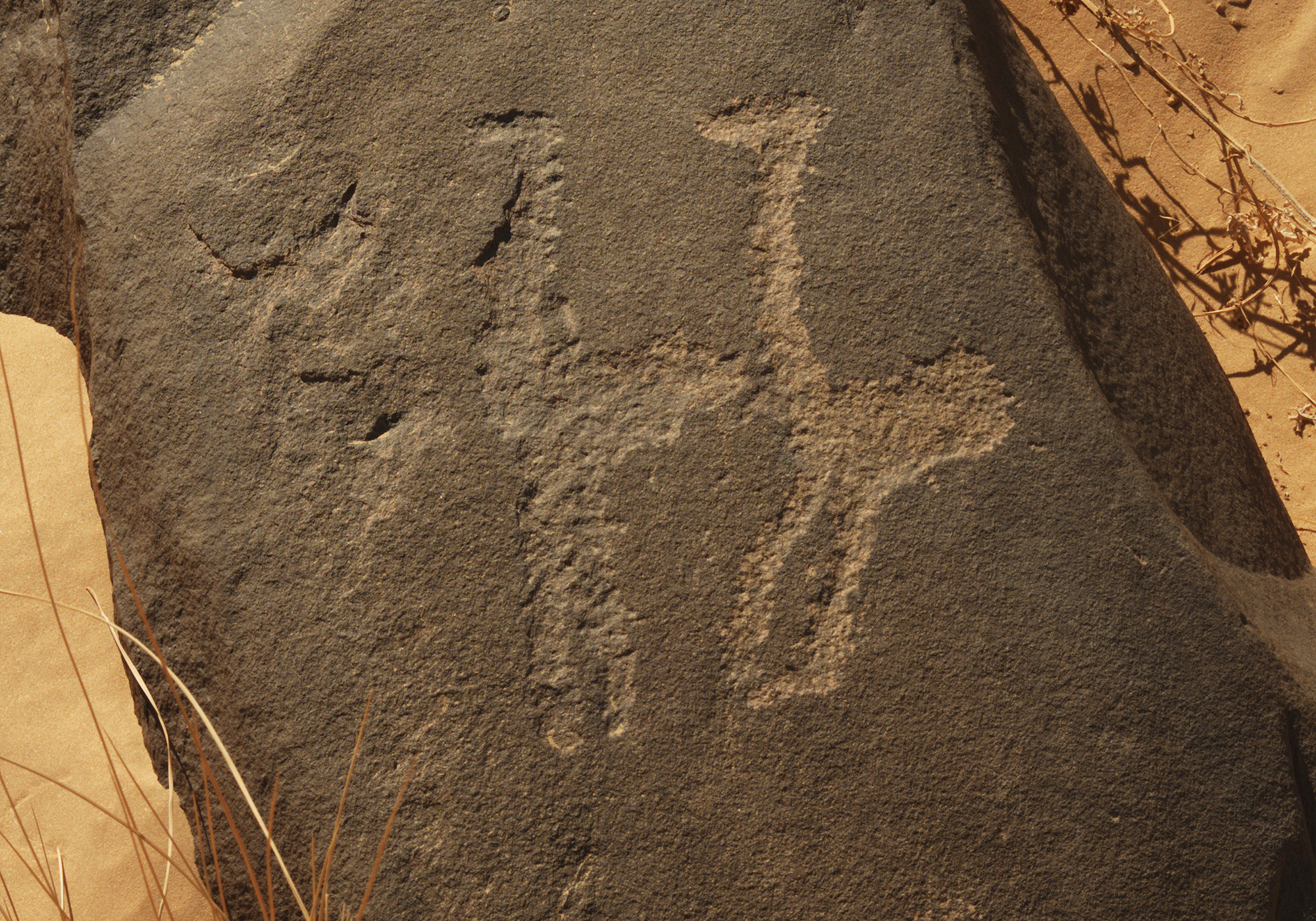 Ostriche carvings at Arakou Niger Africa