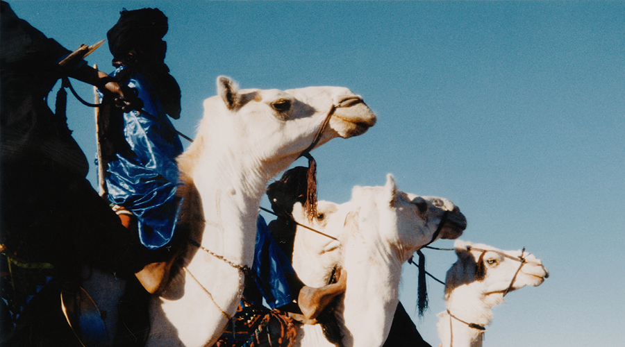 Tuareg Niger Africa Bradshaw Foundation