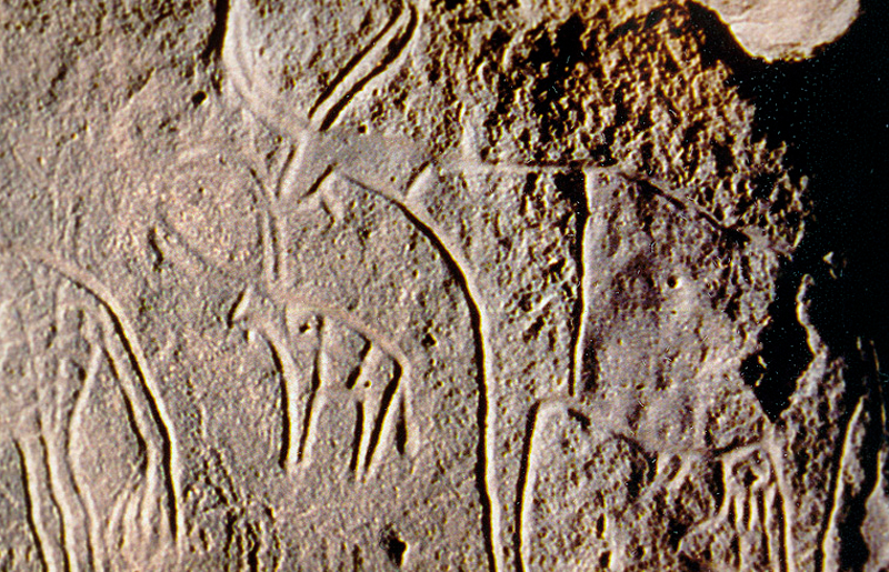 Bradshaw Foundation Rock Art Africa African Sahara Gallery Algeria Great Desert Photos Photographs Archaeology