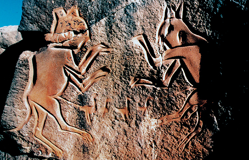 Bradshaw Foundation Rock Art Africa African Sahara Gallery Fighting Cats Great Desert Photos Photographs Archaeology