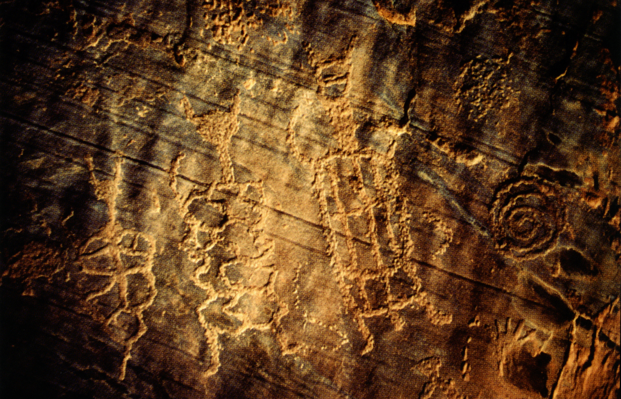 Arizona Rock Art Petroglyphs Pictographs Archaeology USA America Bradshaw Foundation Rock Art Network