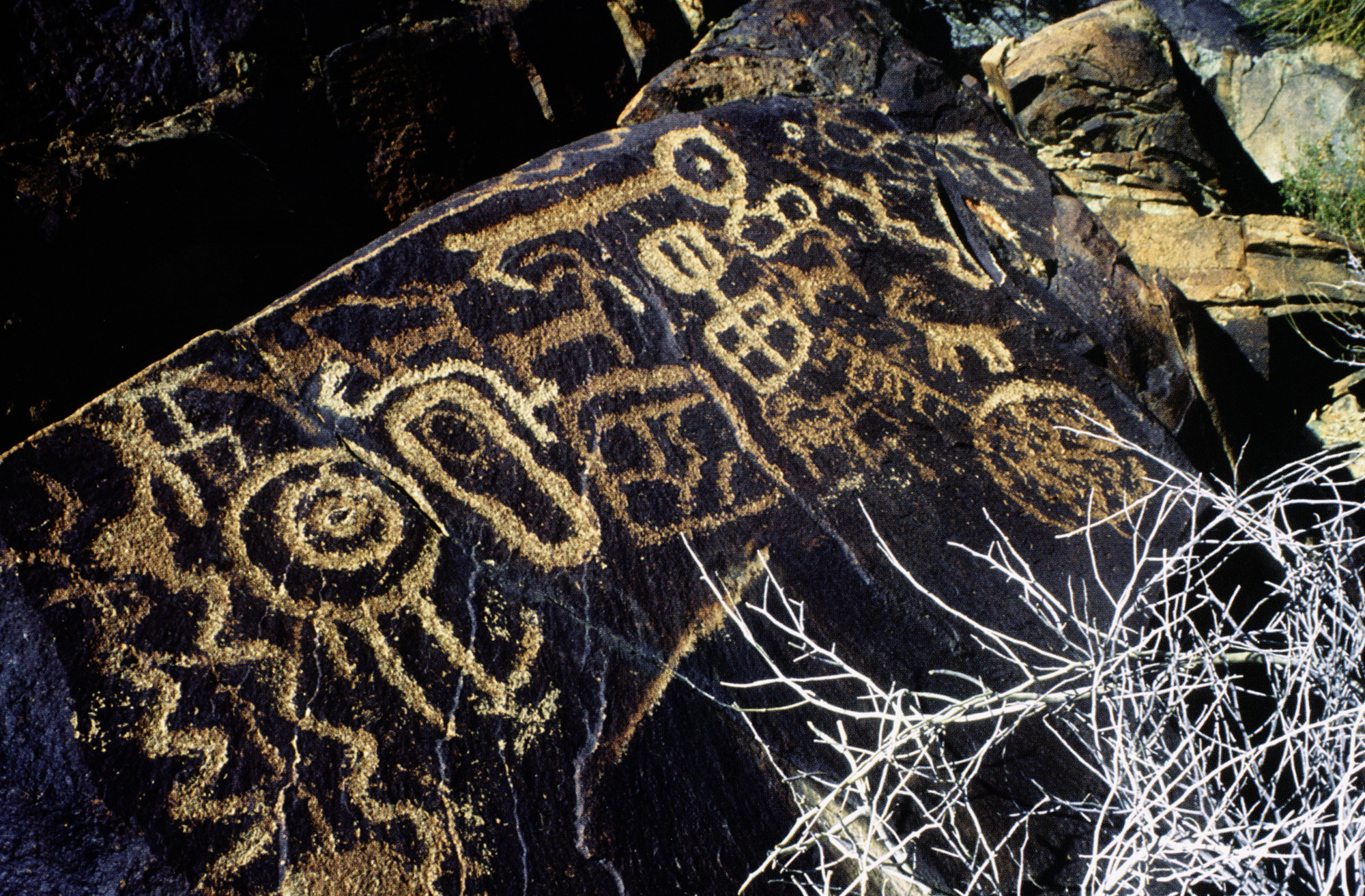 Arizona Rock Art Petroglyphs Pictographs Archaeology USA America Bradshaw Foundation Rock Art Network