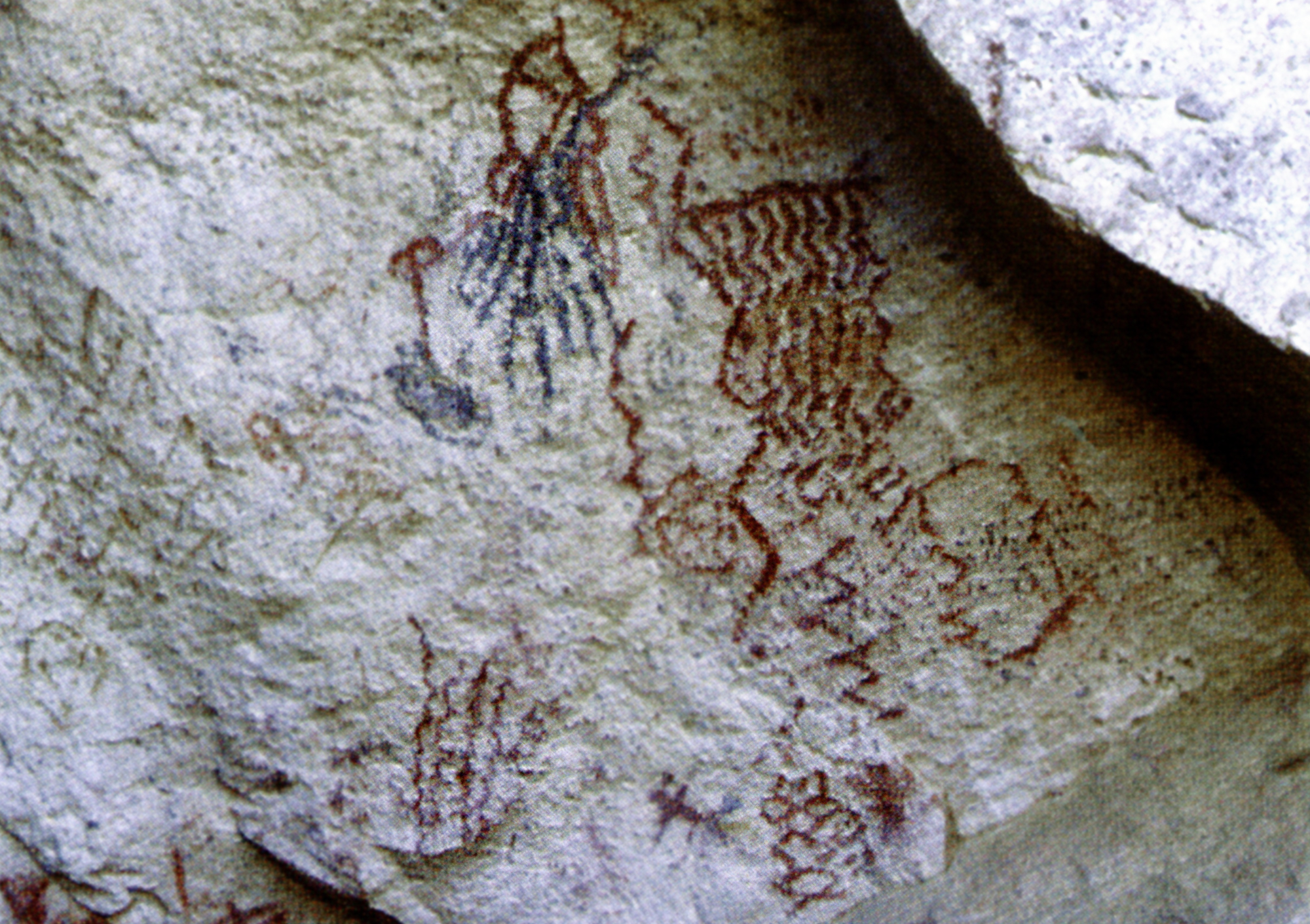 Arizona Rock Art Petroglyphs Pictographs Archaeology USA America Bradshaw Foundation Rock Art Network