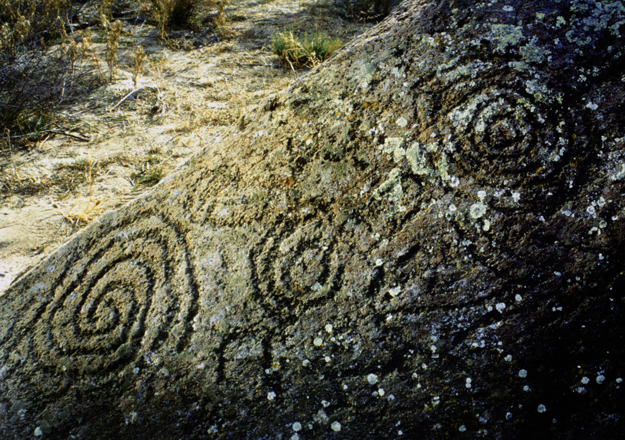 Arizona Rock Art Petroglyphs Pictographs Archaeology USA America Bradshaw Foundation Rock Art Network