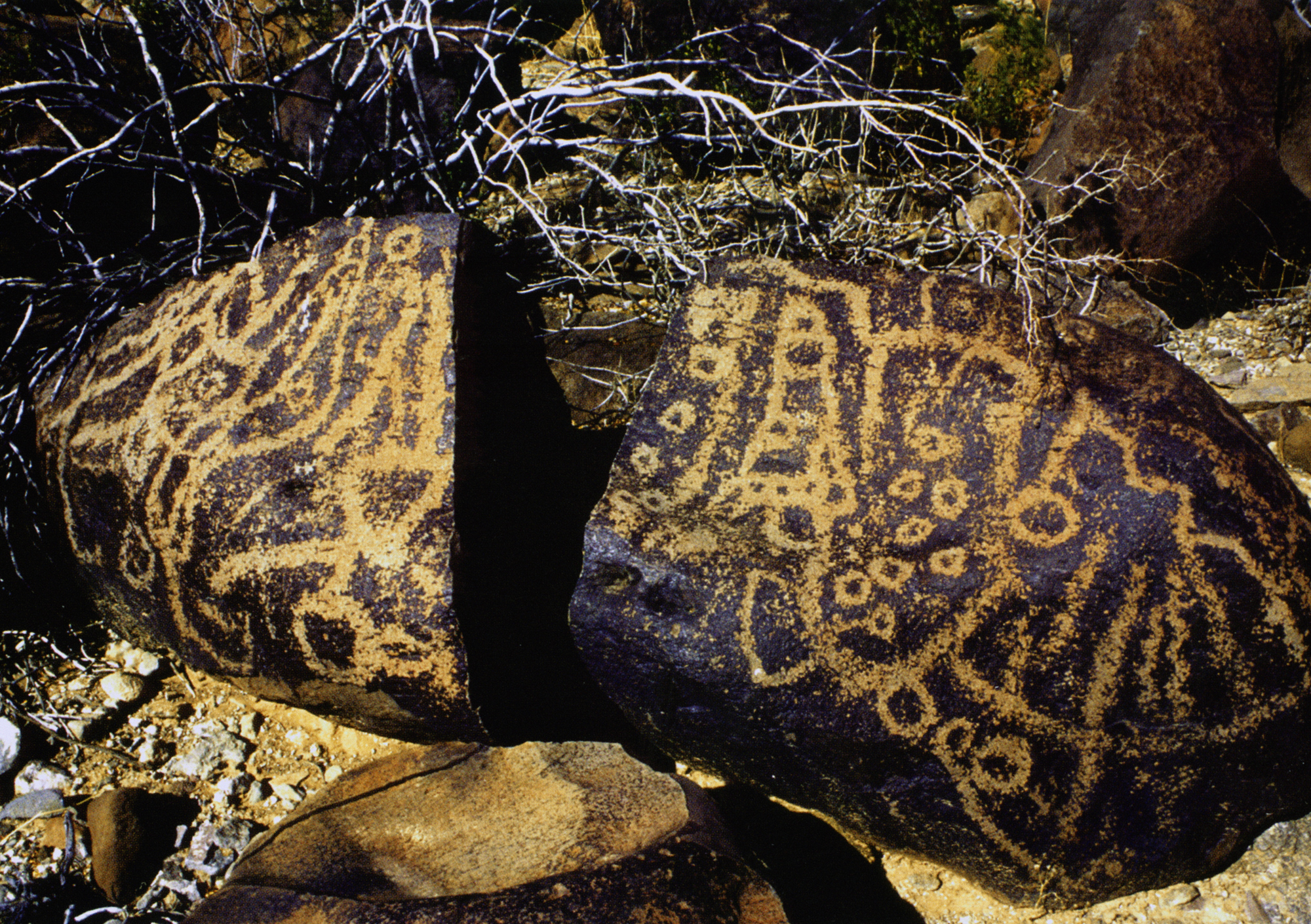 Arizona Rock Art Petroglyphs Pictographs Archaeology USA America Bradshaw Foundation Rock Art Network