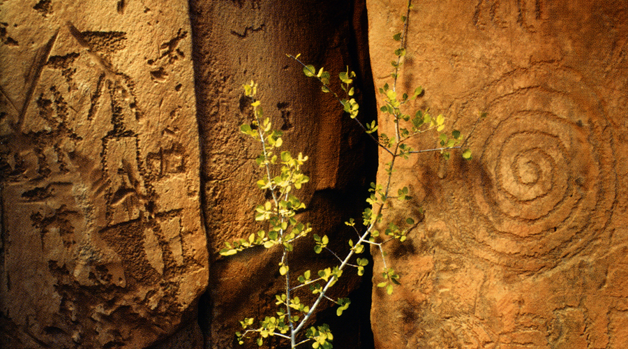 Rock Art Arizona Post Archaic Style America USA Petroglyphs Pictographs Archaeology Prehistory