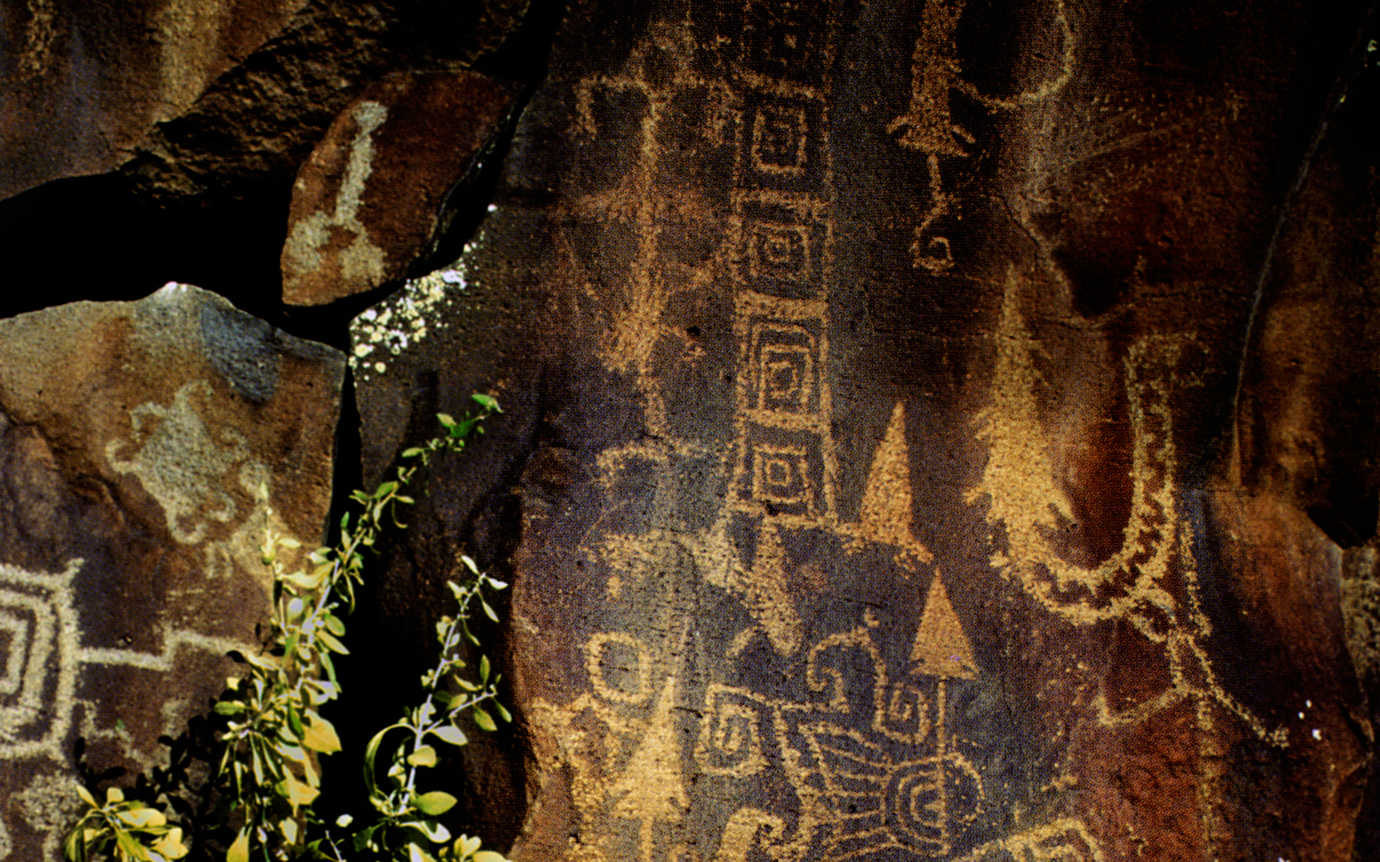 Arizona Rock Art Petroglyphs Pictographs Archaeology USA America Bradshaw Foundation Rock Art Network