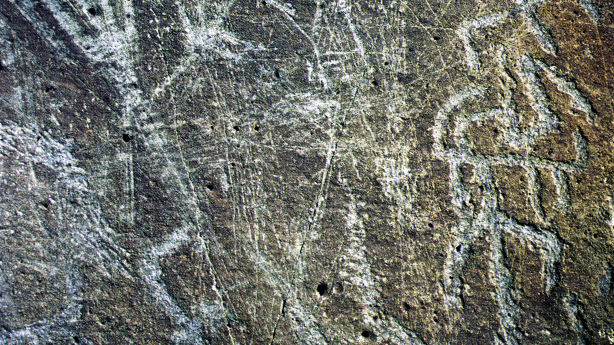 Arizona Rock Art Petroglyphs Pictographs Archaeology USA America Bradshaw Foundation Rock Art Network