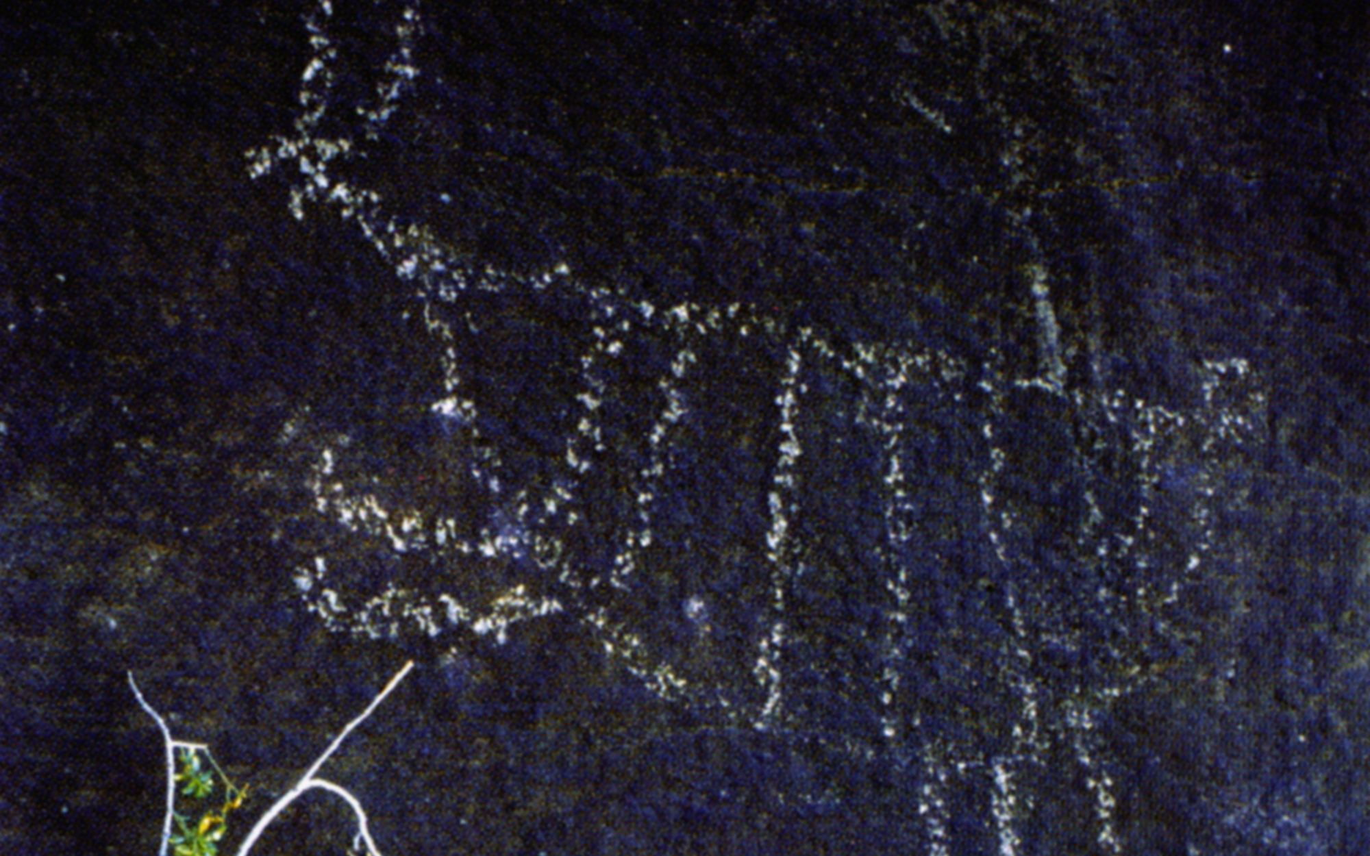 Arizona Rock Art Petroglyphs Pictographs Archaeology USA America Bradshaw Foundation Rock Art Network