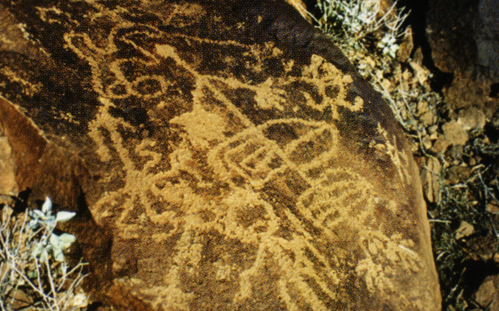 Arizona Rock Art Petroglyphs Pictographs Archaeology USA America Bradshaw Foundation Rock Art Network