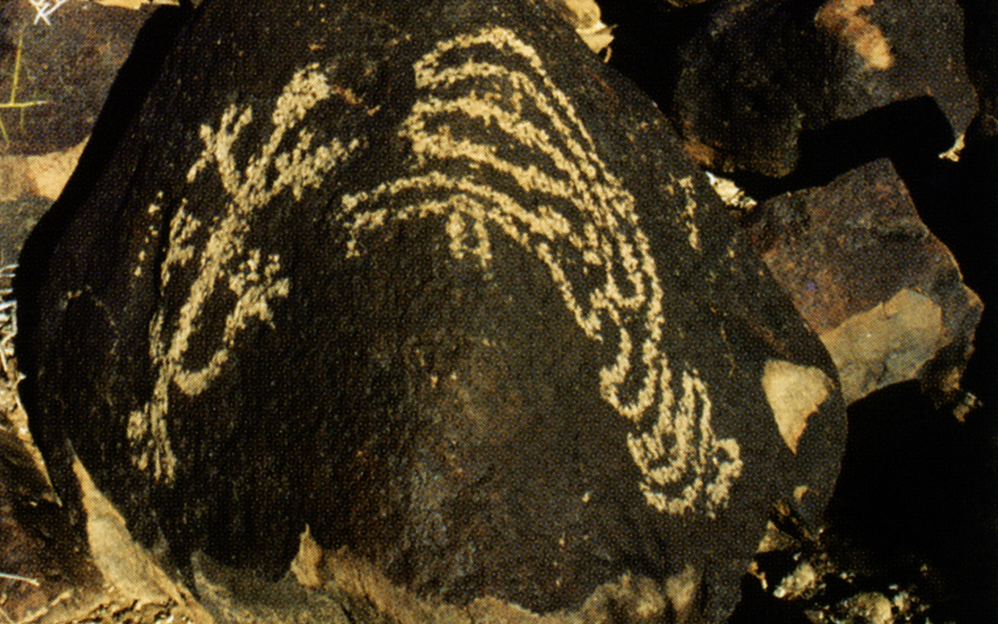 Arizona Rock Art Petroglyphs Pictographs Archaeology USA America Bradshaw Foundation Rock Art Network