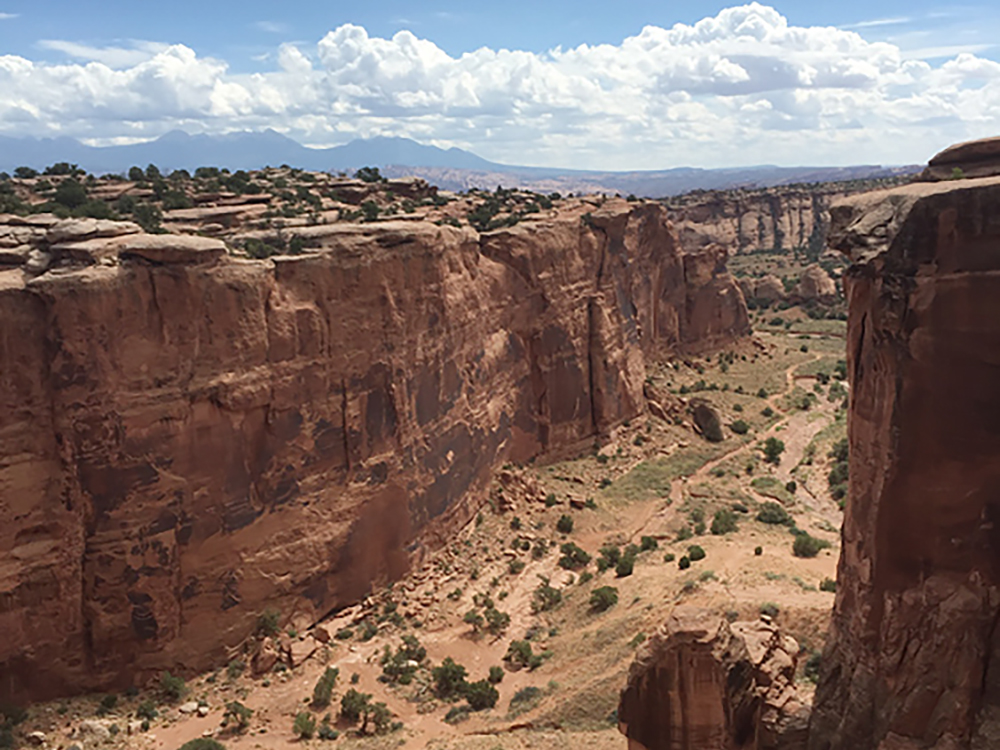 Rock Art Moab Region Utah Petroglyphs Pictographs America USA Archaeology Bradshaw Foundation