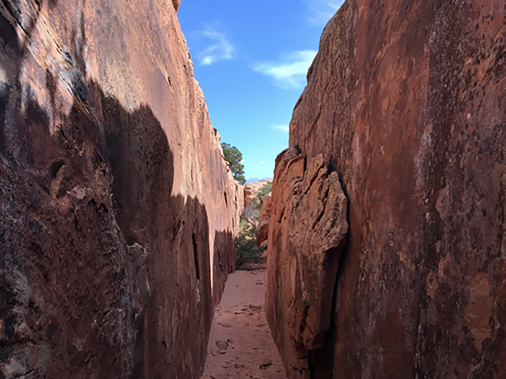 Rock Art Moab Region Utah Petroglyphs Pictographs America USA Archaeology Bradshaw Foundation