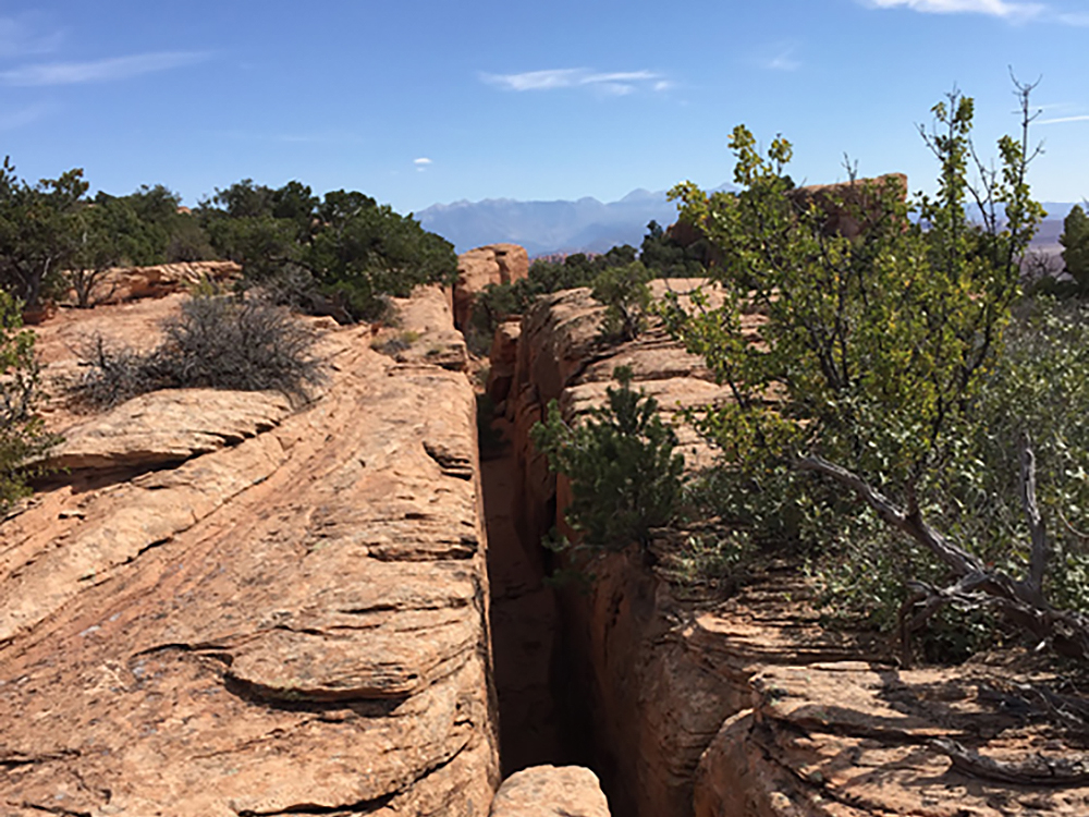 Rock Art Moab Region Utah Petroglyphs Pictographs America USA Archaeology Bradshaw Foundation