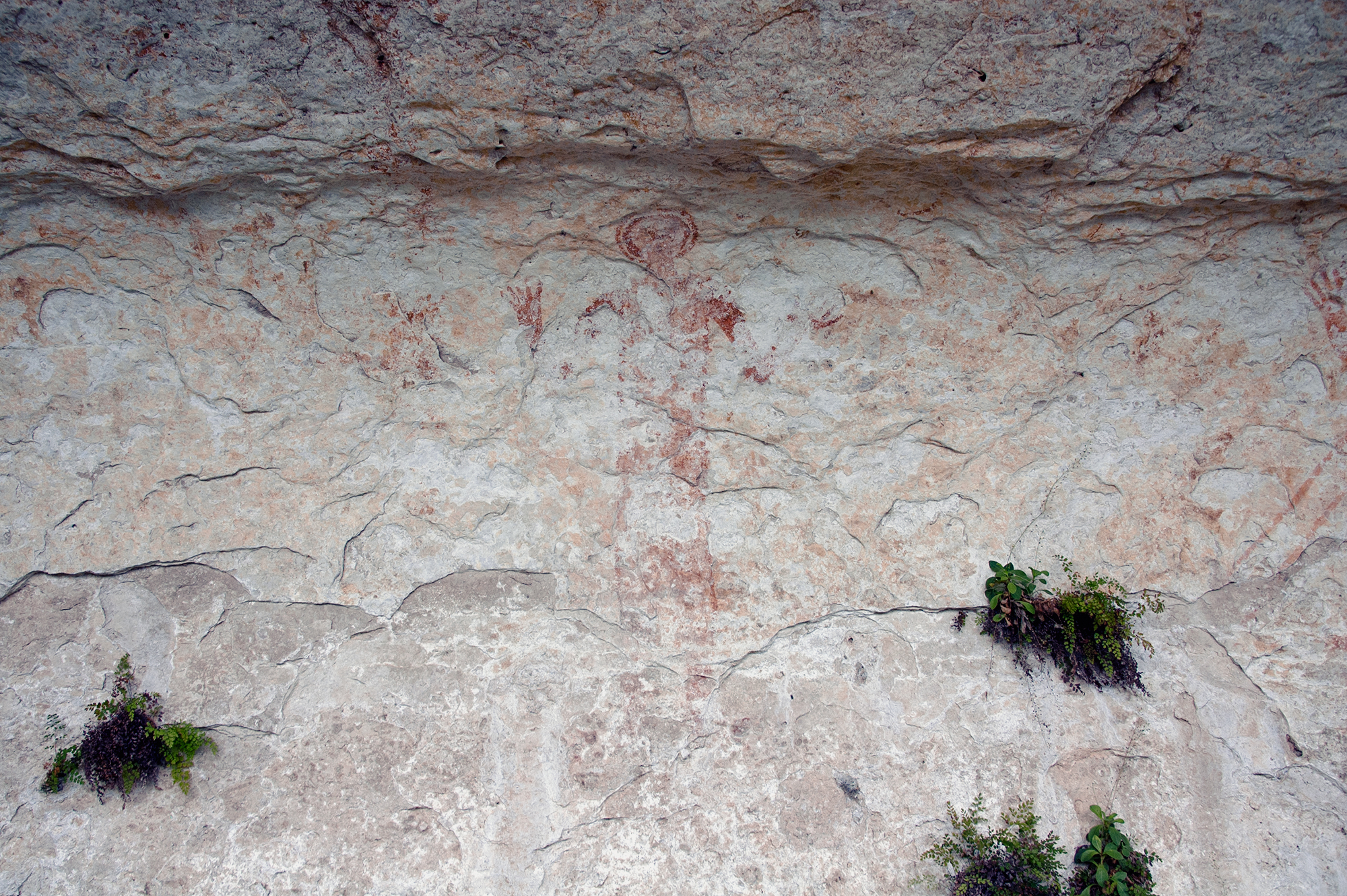 Painted Shelter Lower Pecos Canyonlands Rock Art America Texas United States Petroglyphs Pictographs Archaeology Prehistory Rockart