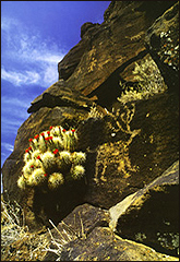 arizona rock art america