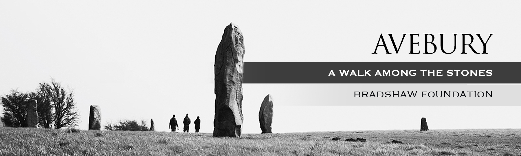 Avebury A Walk Among the Stones Ben Dickins Bradshaw Foundation