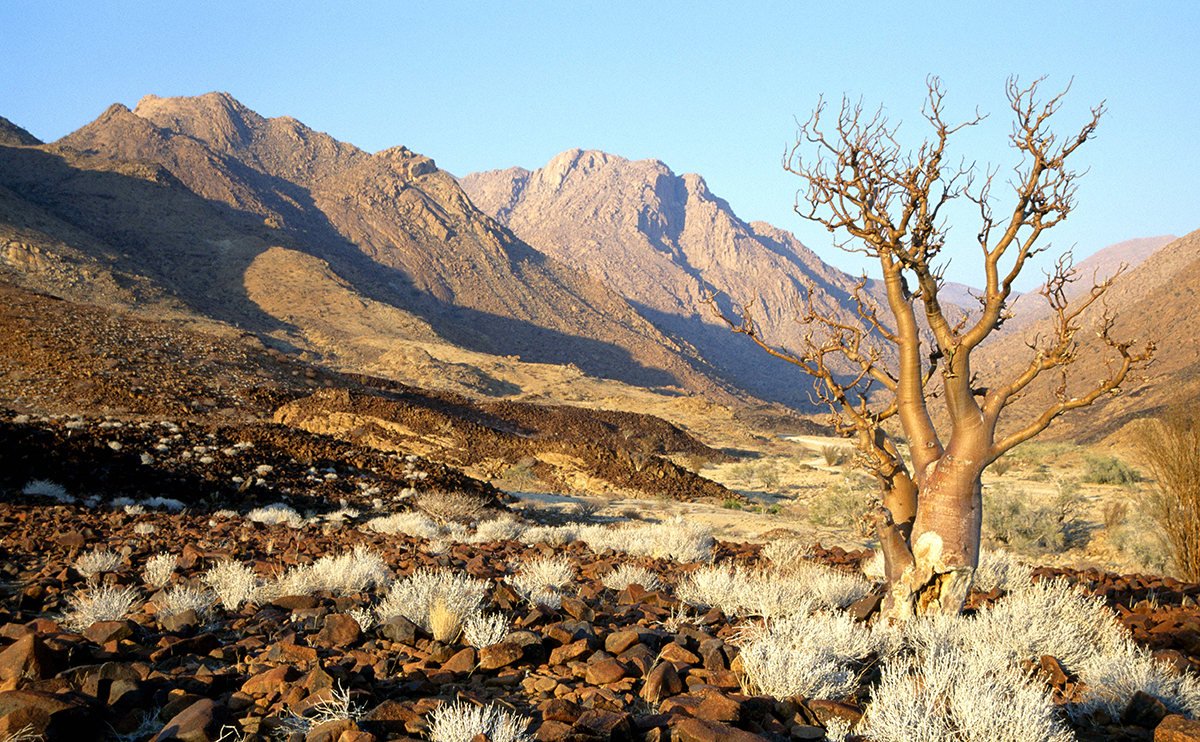 Wilderness Safari Namibia Trust for African Rock Art TARA