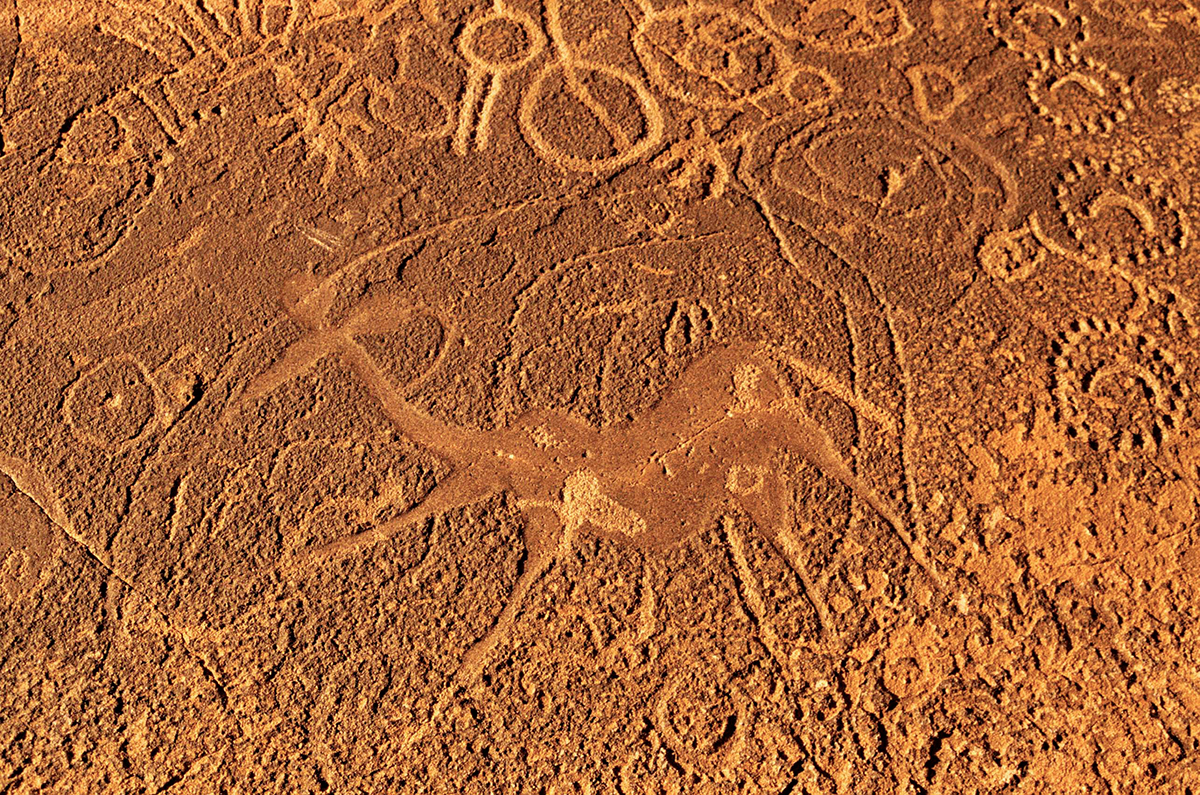 Wilderness Safari Namibia Trust for African Rock Art TARA