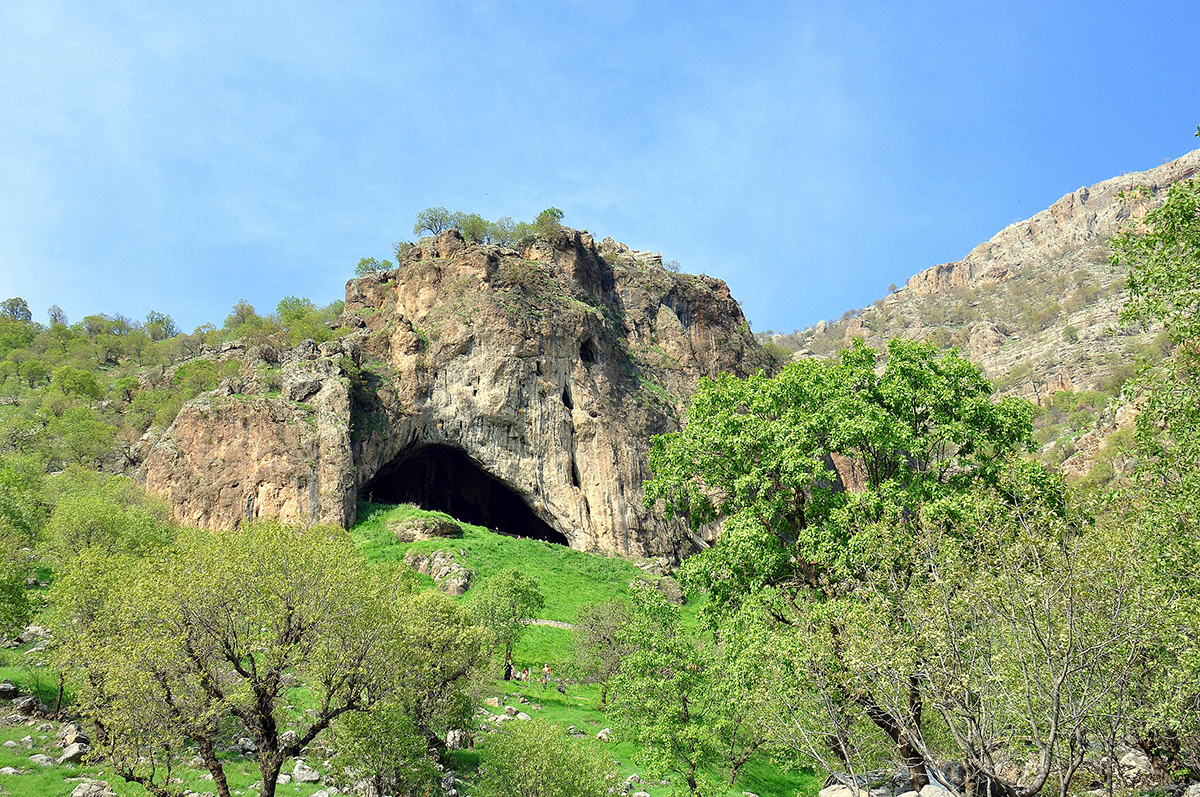 charred remnants Neanderthal food cooked Neanderthals diet Iraq Shanidar Cave