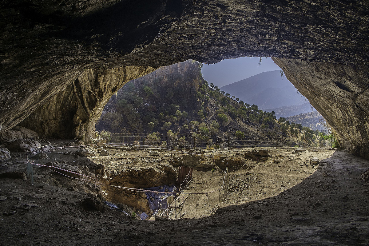 charred remnants Neanderthal food cooked Neanderthals diet Iraq Shanidar Cave