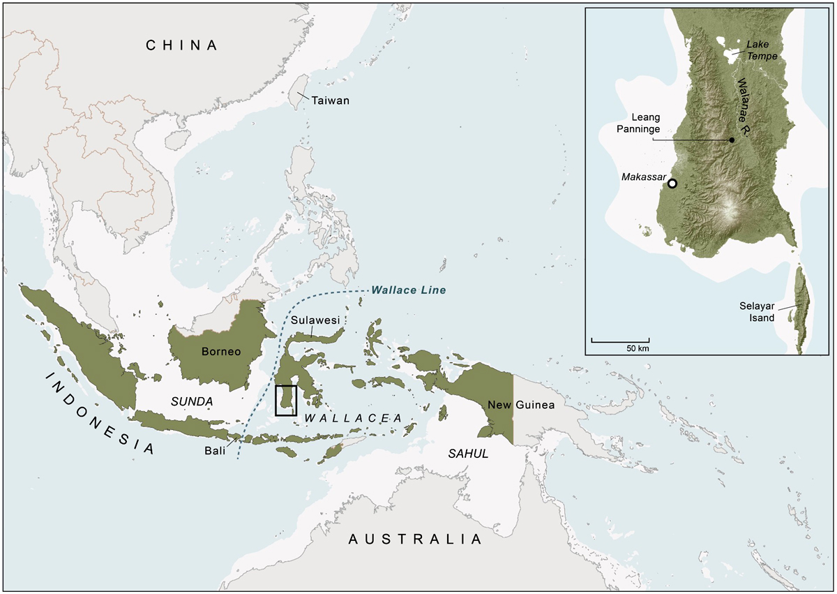 DNA skeleton Bessé' Sulawesi cave human lineage Indonesia Australia genetic tools paintings