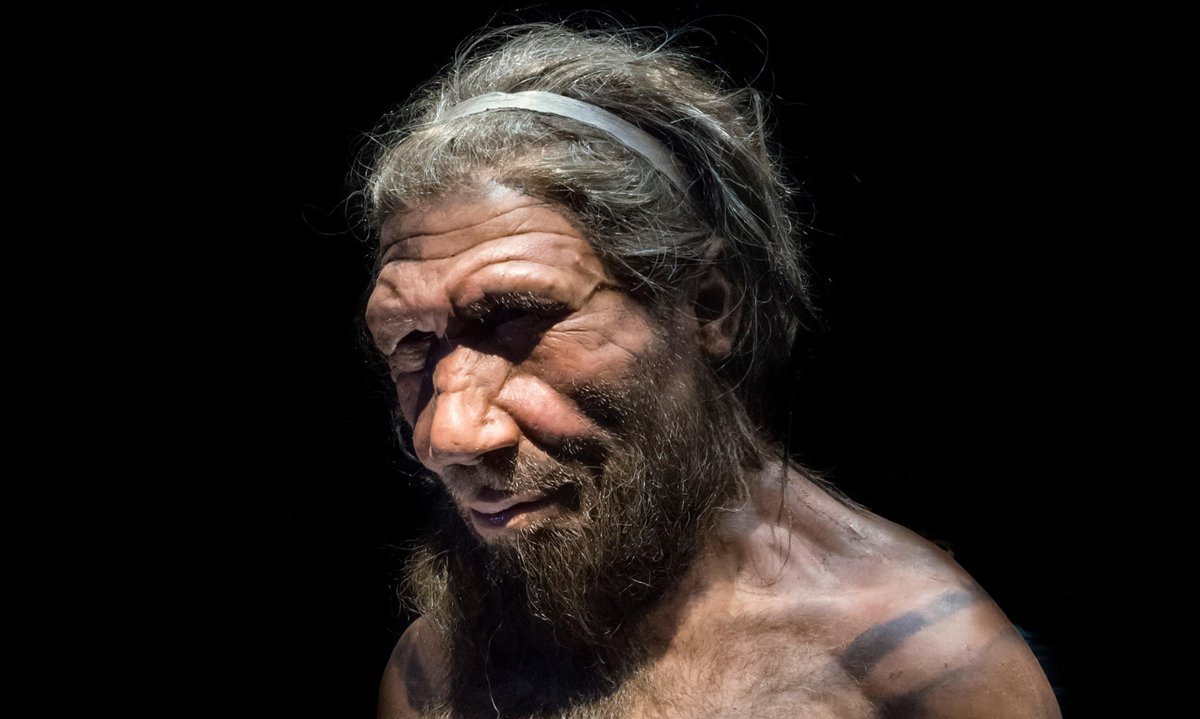 Researchers Neanderthal population modern humans Europe Near East inbreeding natural fluctuations birth rates death sex ratios extinction superior Neanderthals
caption