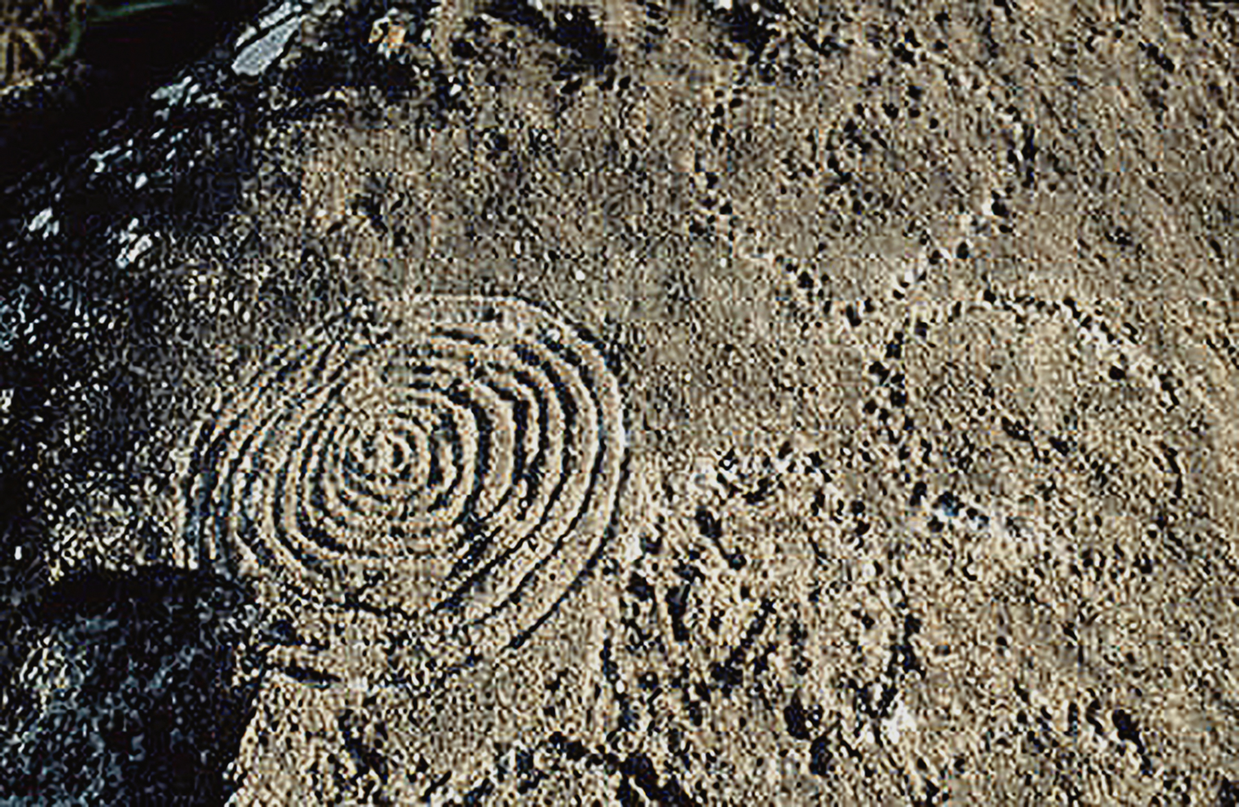 Rock Art Central Africa Archaeology Gabon