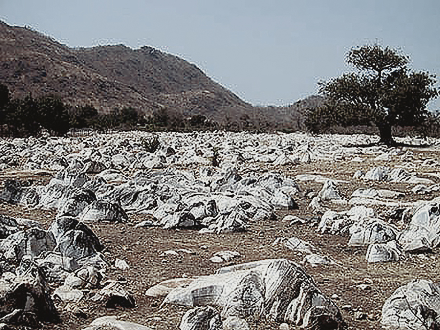 Rock Art Central Africa Archaeology Gabon