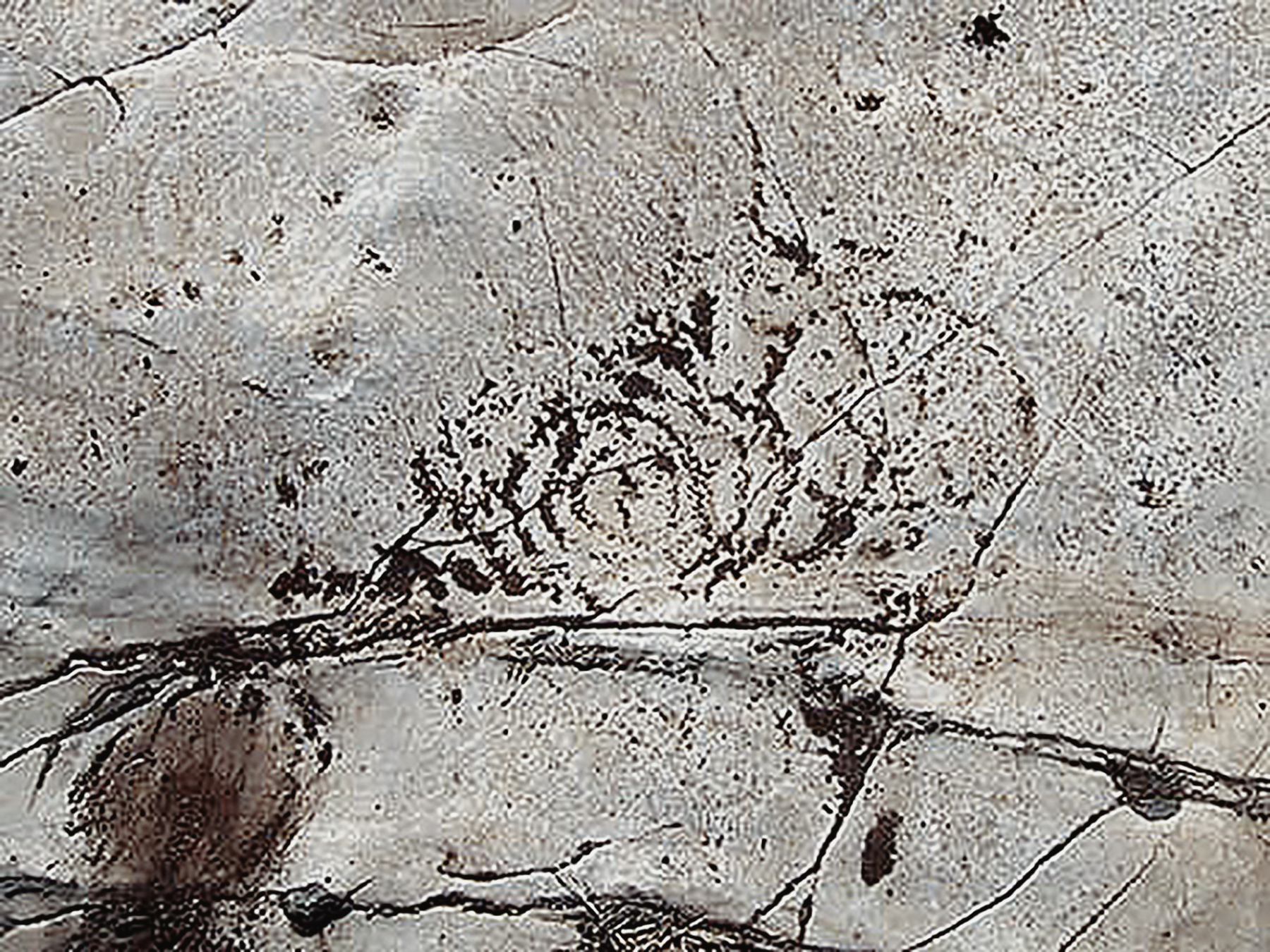 First-Art Team at work in Andalucía and Portugal Rock Art Bradshaw Foundation