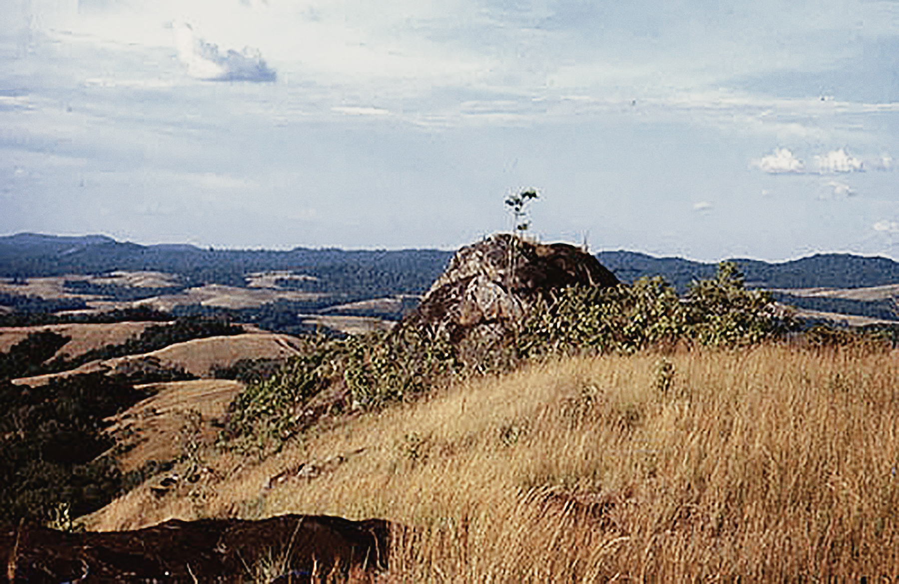 Rock Art Central Africa Archaeology Gabon