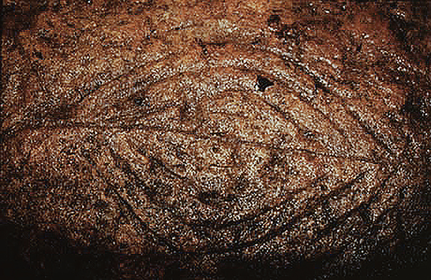 Rock Art Central Africa Archaeology Gabon