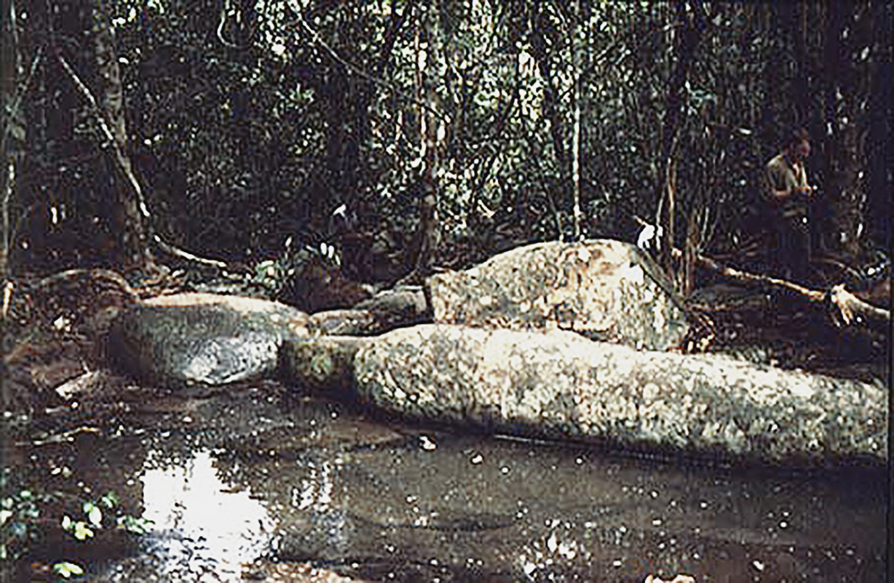 Rock Art Central Africa Archaeology Gabon