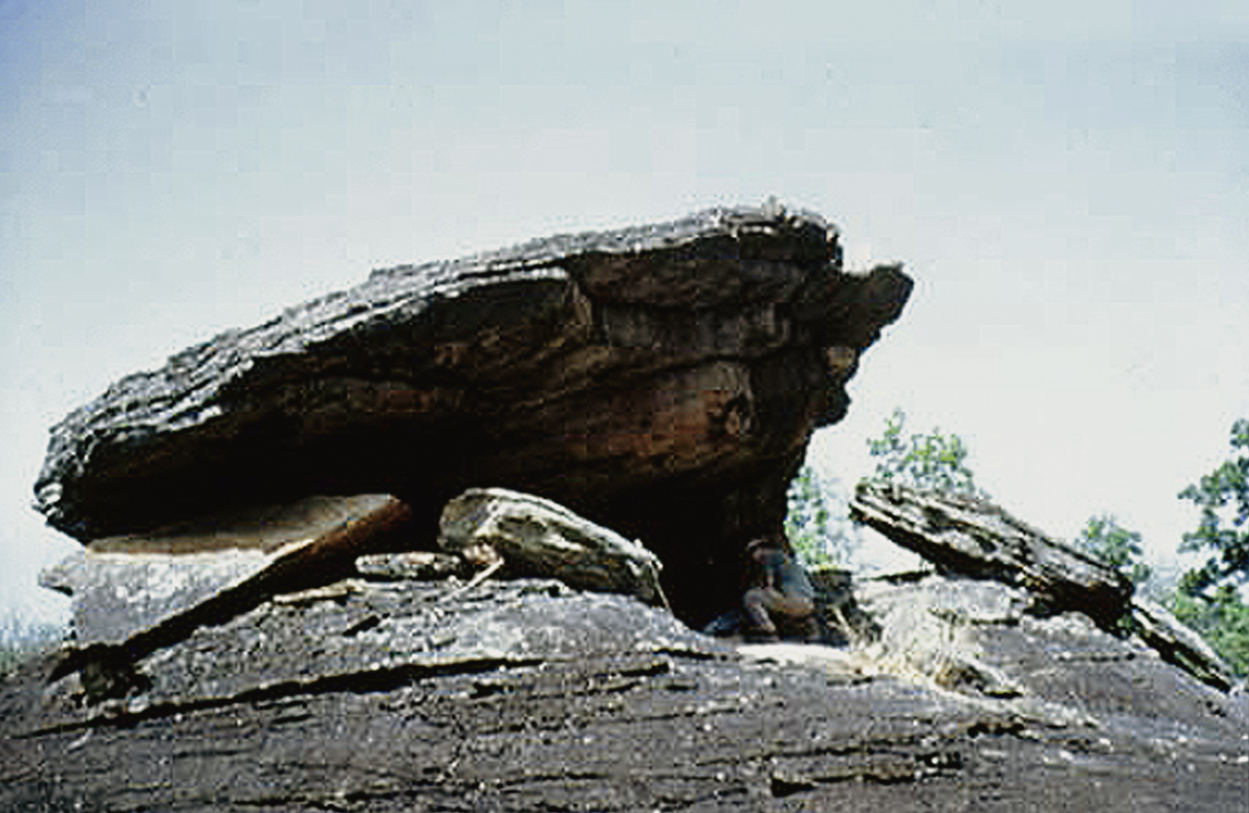 The First Art and Max Planck teams at Maltravieso Cave Rock Art Bradshaw Foundation