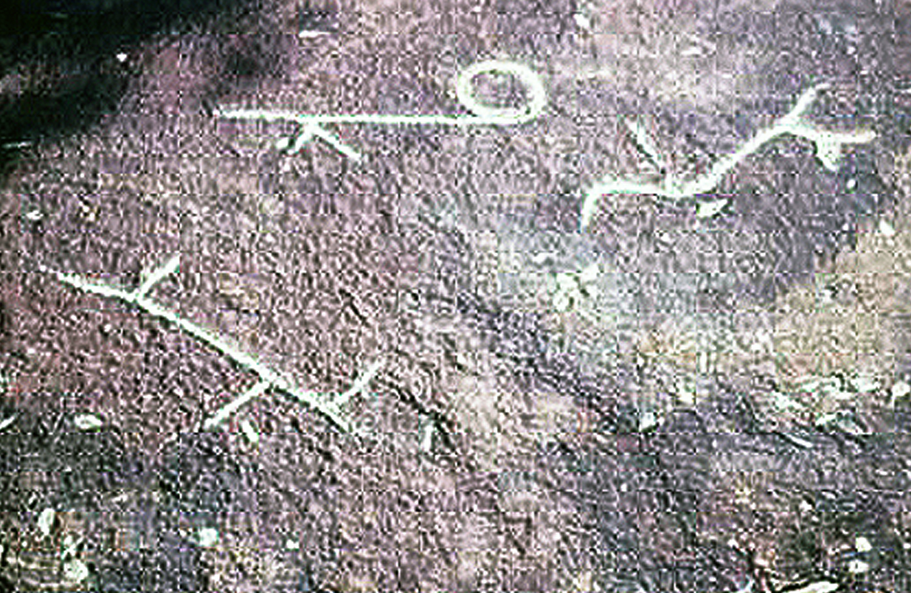 The First Art and Max Planck teams at Maltravieso Cave Rock Art Bradshaw Foundation