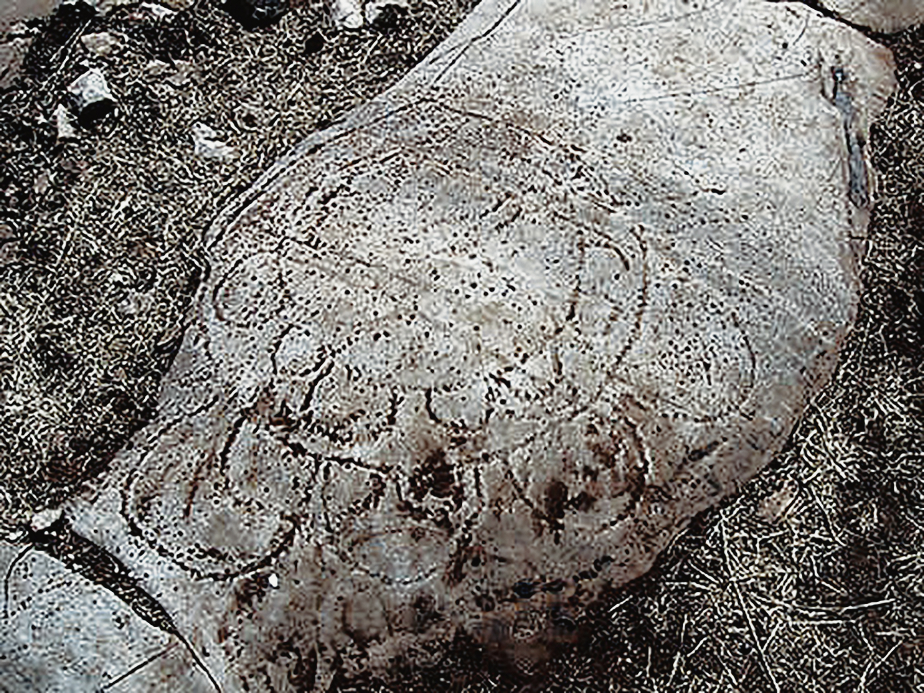 The First Art and Max Planck teams at Maltravieso Cave Rock Art Bradshaw Foundation