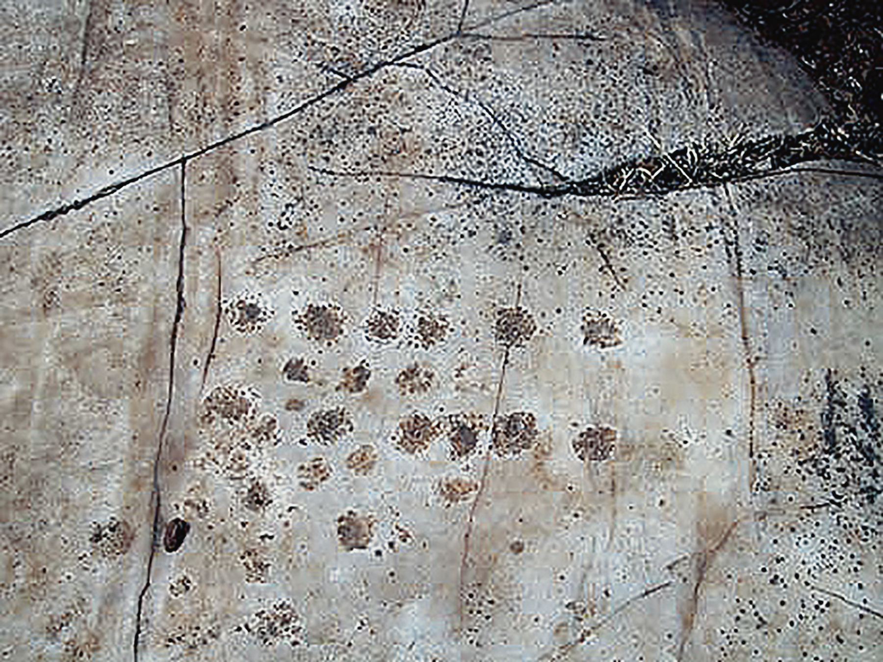 Rock Art Central Africa Archaeology Gabon