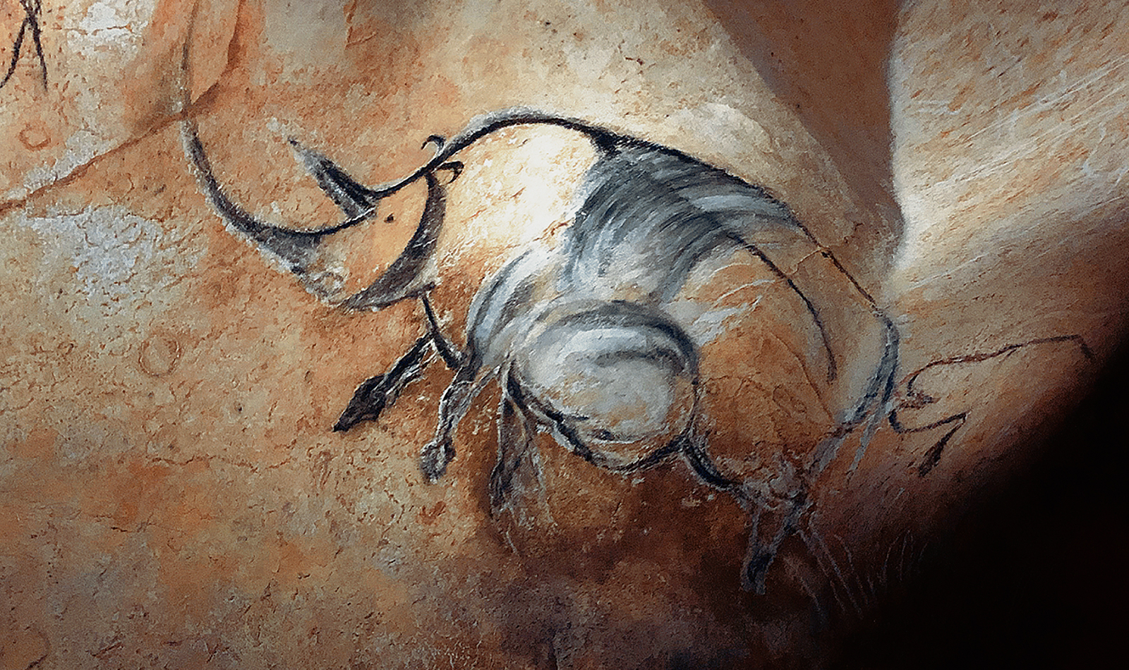 Rhinoceroses Rhinocerose Chauvet Cave Paintings Rock Art France Bradshaw Foundation