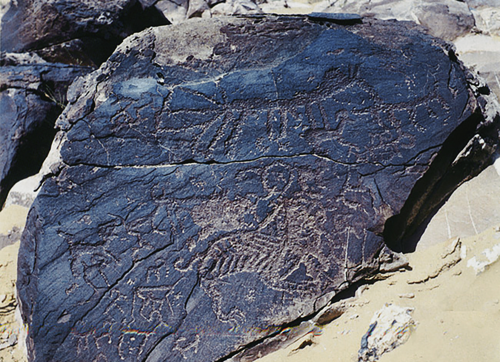 Rock Art The Tiger in Chinese Culture China Archaeology