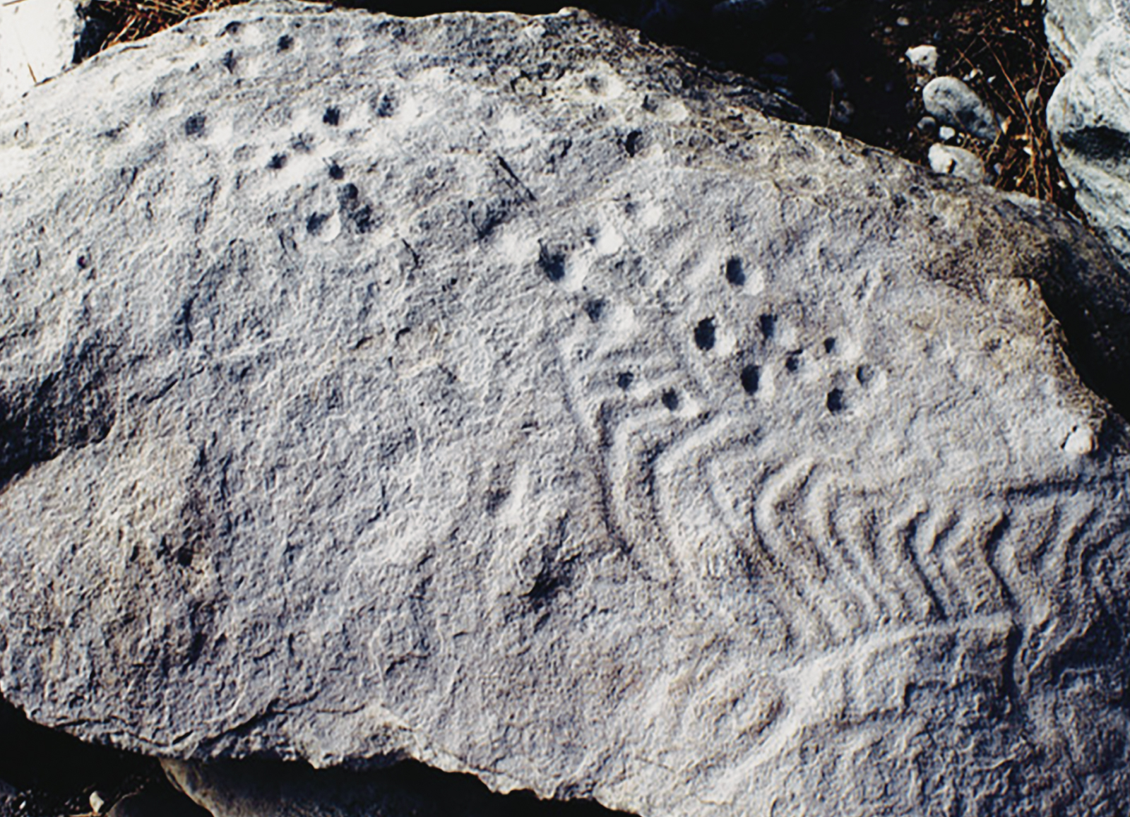 Rock Art The Tiger in Chinese Culture China Archaeology