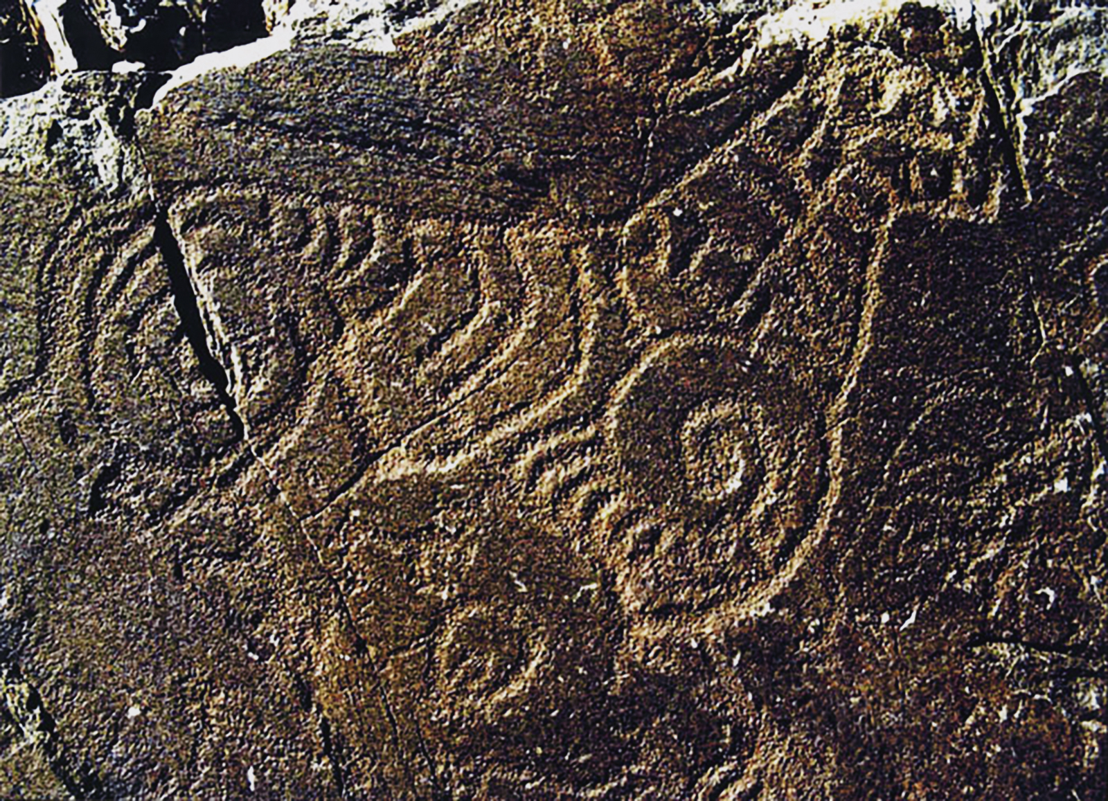 Rock Art The Tiger in Chinese Culture China Archaeology