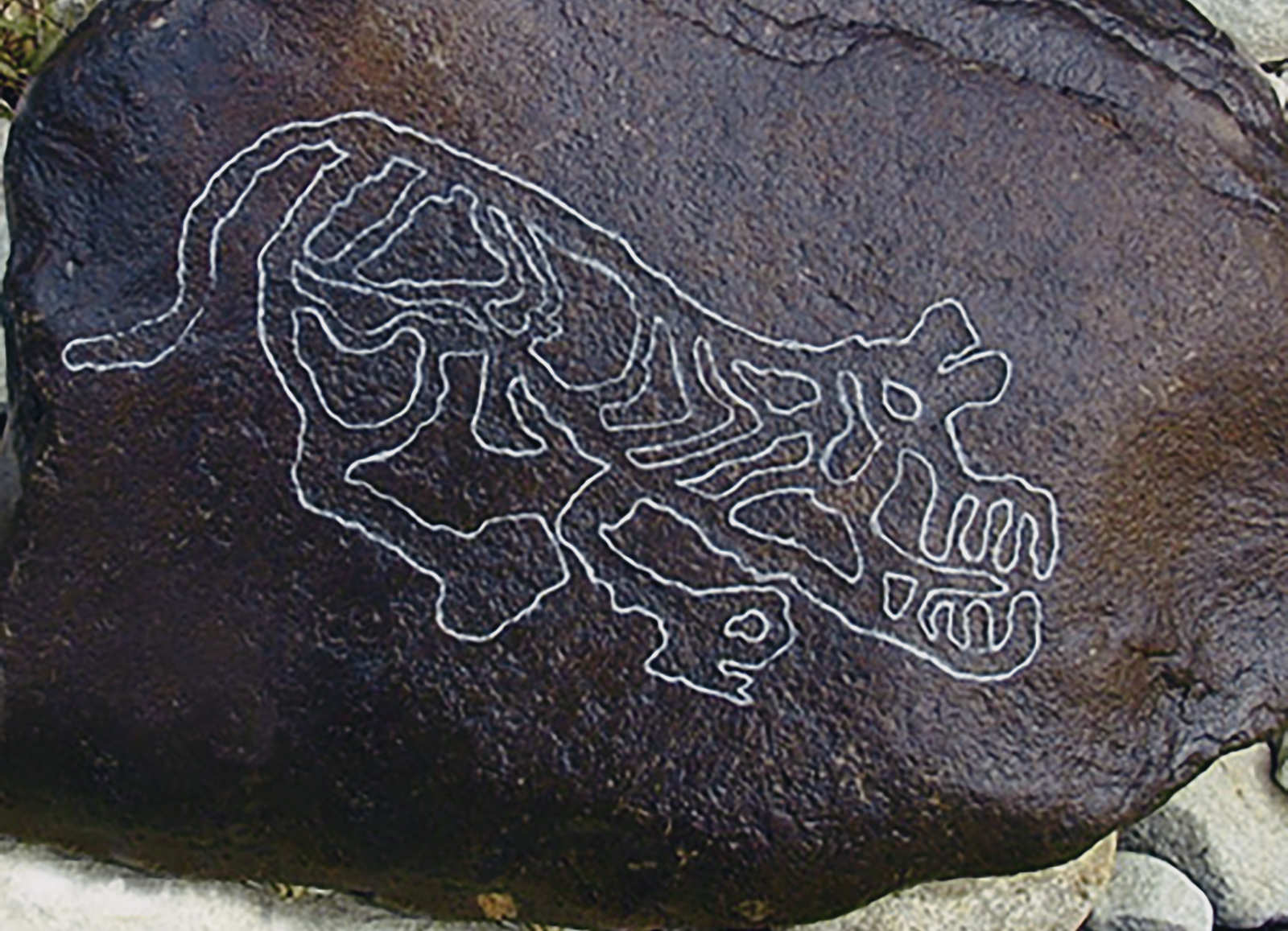 Rock Art The Tiger in Chinese Culture China Archaeology