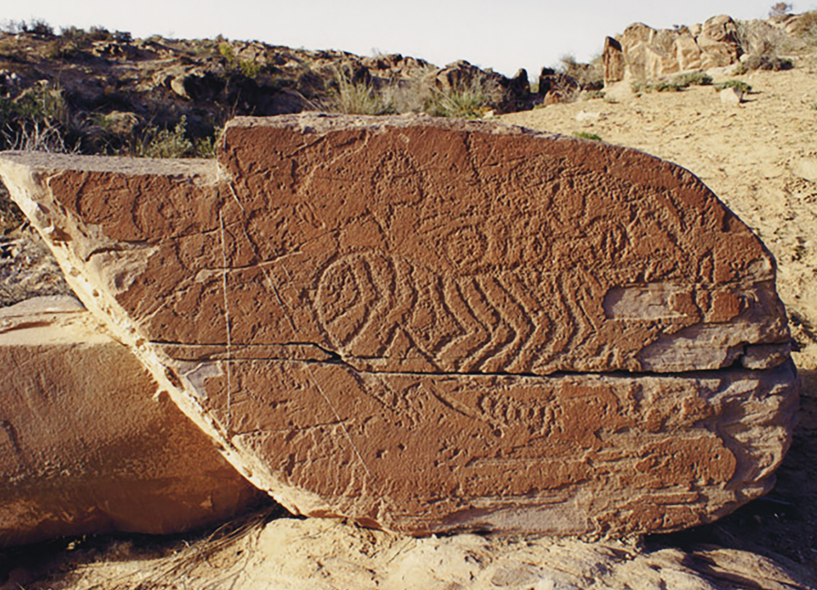 Rock Art The Tiger in Chinese Culture China Archaeology