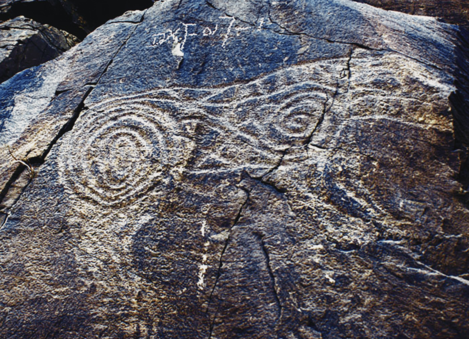 Rock Art The Tiger in Chinese Culture China Archaeology